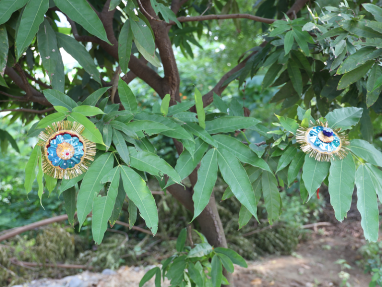 Raksha Bandhan moments at Shri Leela Gaudham