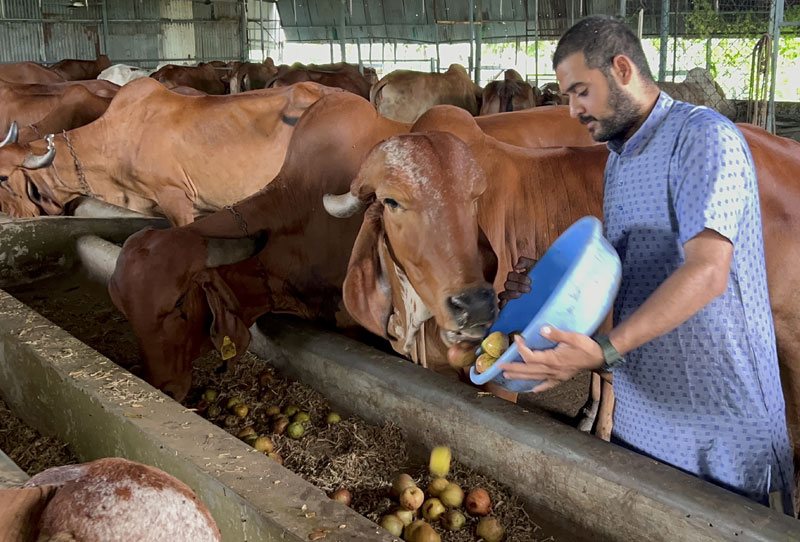 Gau family environment