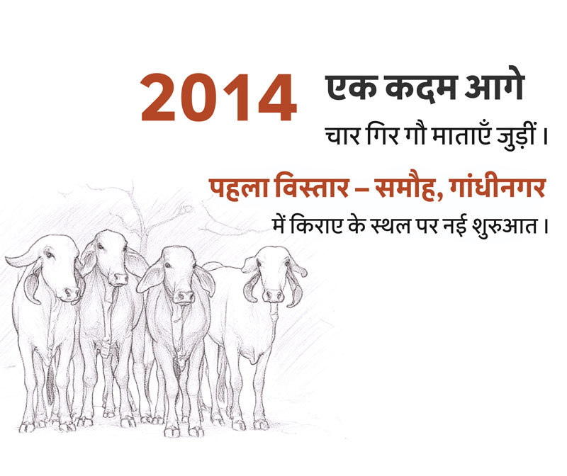 Four Gir Gau and the 2014 milestone