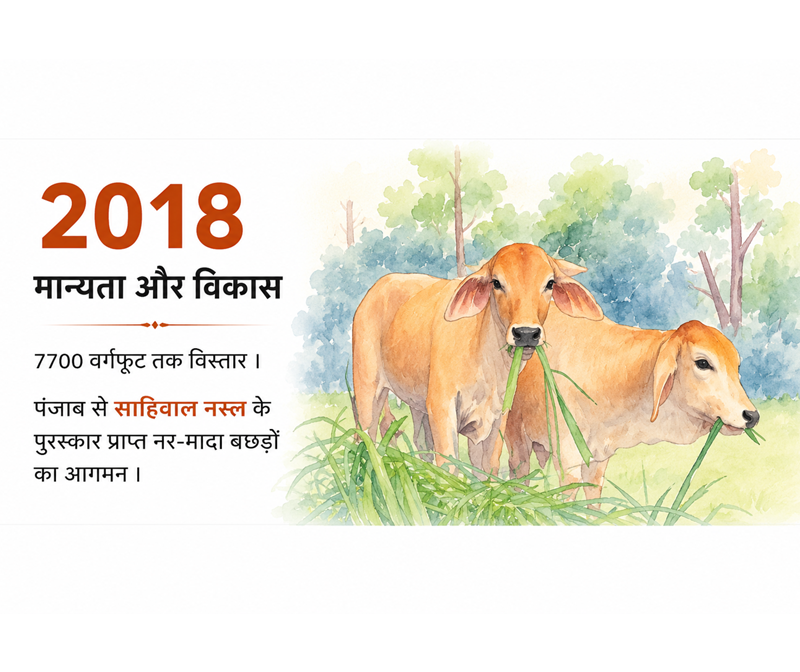Sahiwal calves and Gaushala growth in 2018
