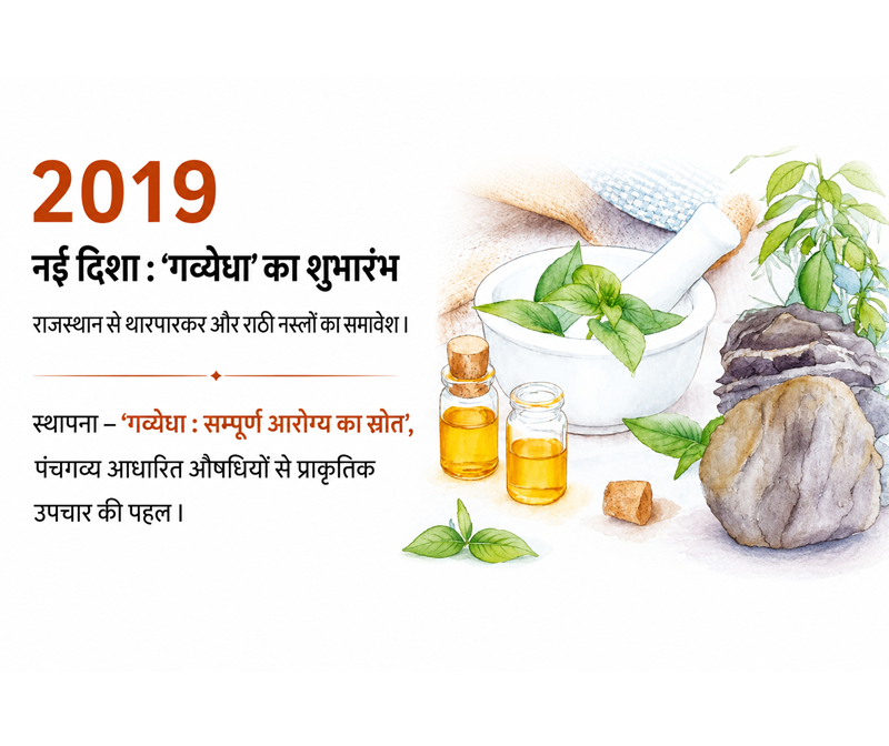Tharparkar and Rathi breeds and the launch of Gavyedha in 2019