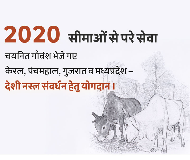 Gau Matas and Nandi sent to different regions in 2020