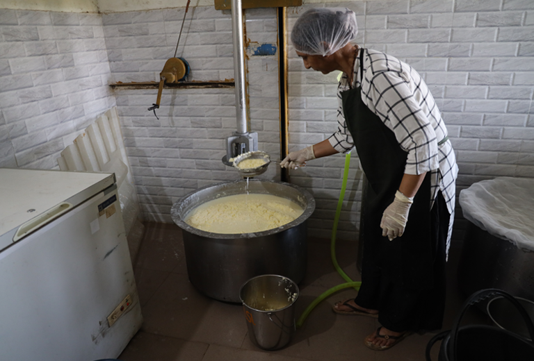 Women working together in organic production