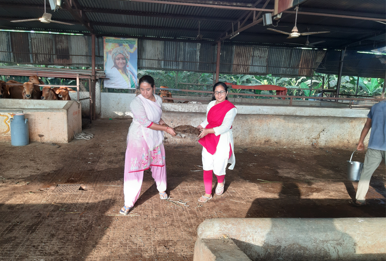 Women engaged in Gau care seva