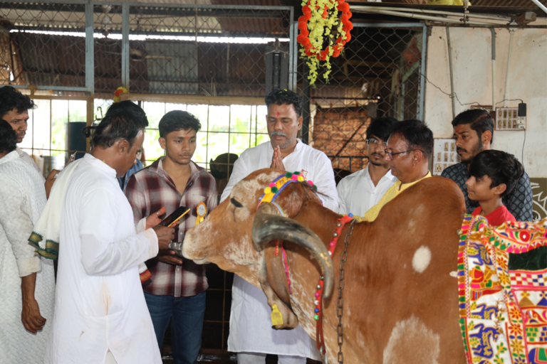Devotional moments of Gopashtami