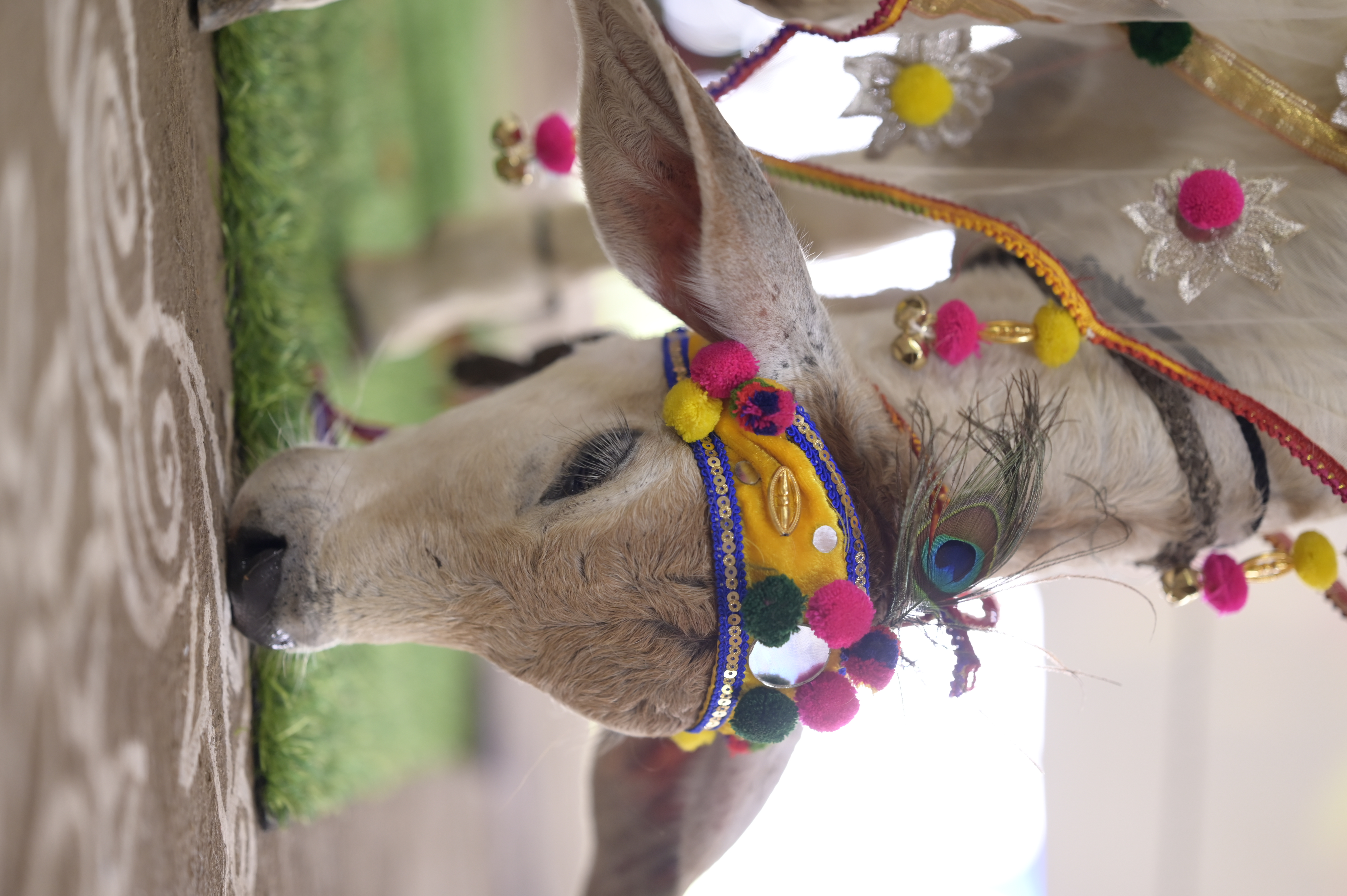Shri Leela Gaudham