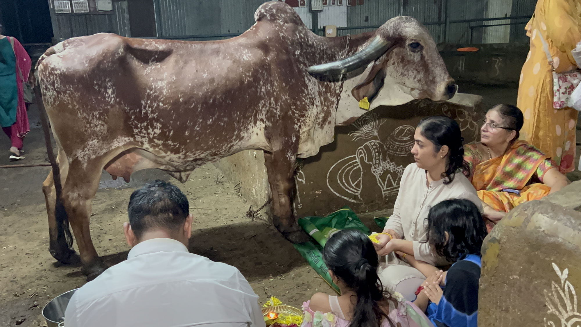 Gau Mata Seva