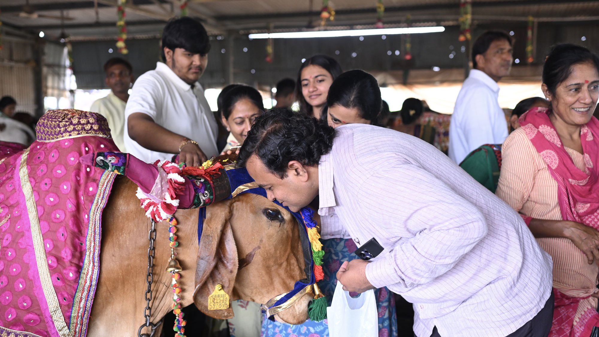 Gau Mata Care