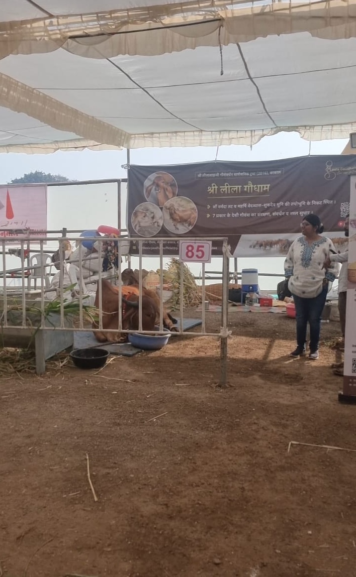 Recognition of Gir Gau Prakriti at the Indian Cattle Show