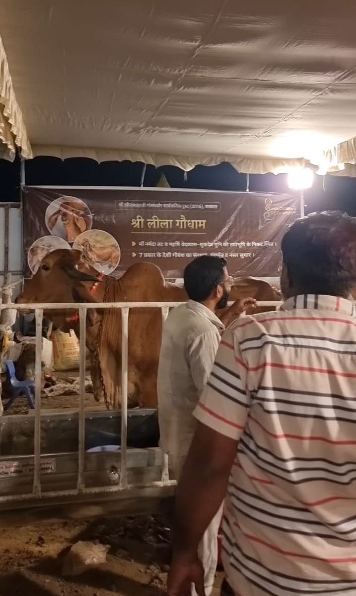 Gir Gau Prakriti at Indian Cattle Show 2026 in Rajkot