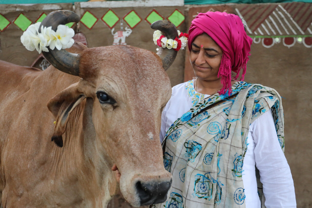 Cow Care